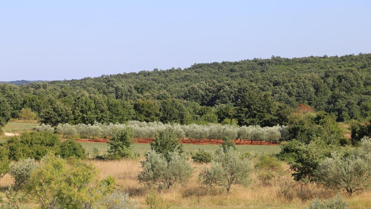 칸파나르 Casa Conte Istria 빌라 외부 사진