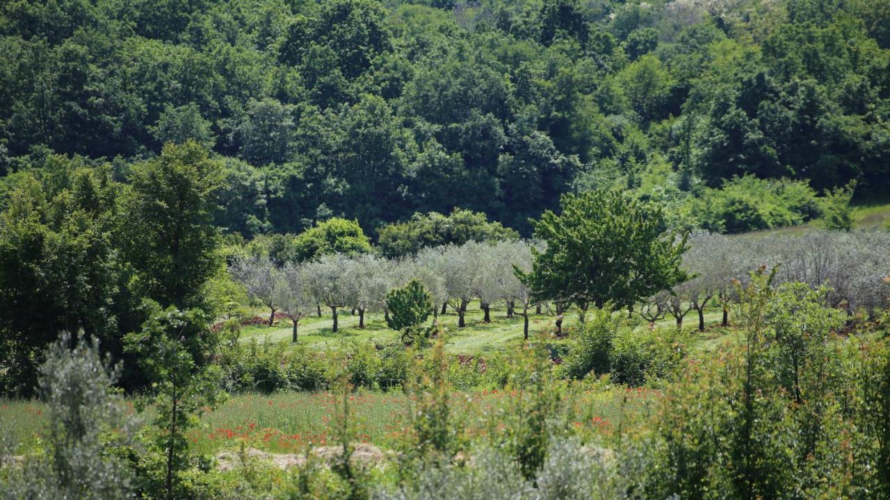 칸파나르 Casa Conte Istria 빌라 외부 사진