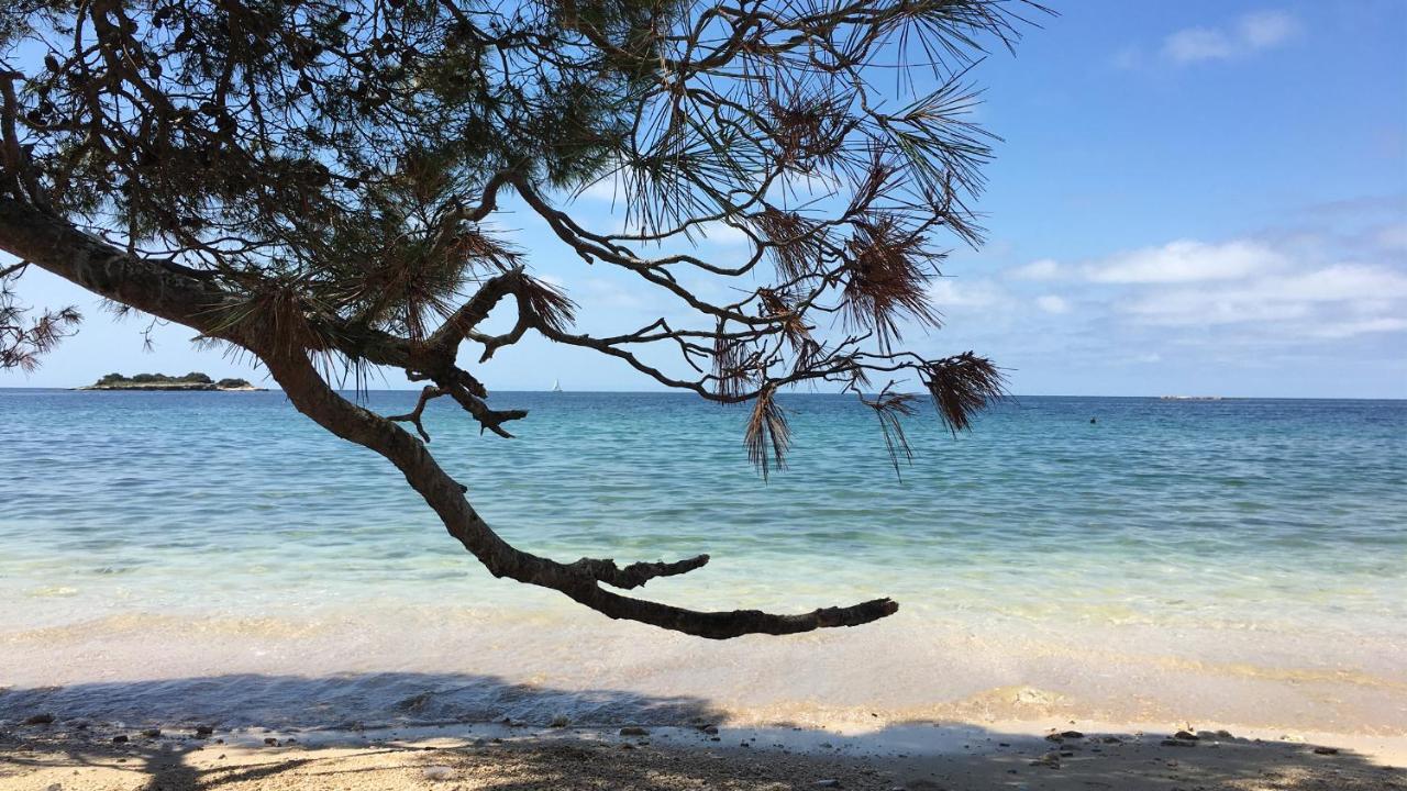 칸파나르 Casa Conte Istria 빌라 외부 사진